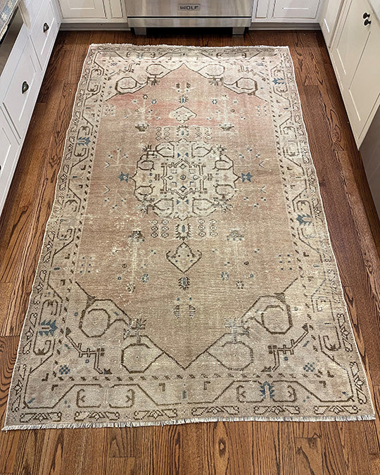 Eve - Clements Fine Rugs