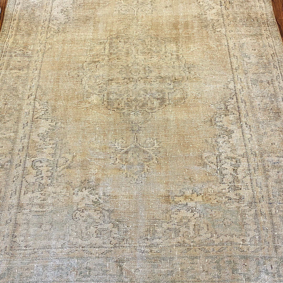Elegant Living Room Rug