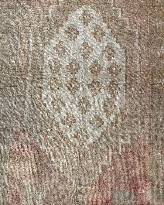 Spencer - Clements Fine Rugs 