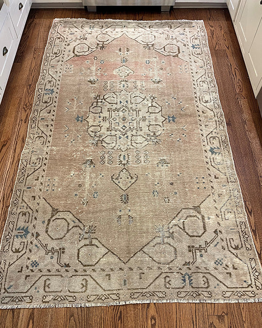 Eve - Clements Fine Rugs 