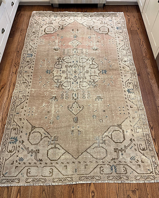 Eve - Clements Fine Rugs 