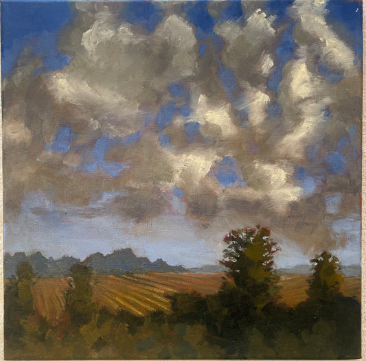 Artistic Landscape Rug