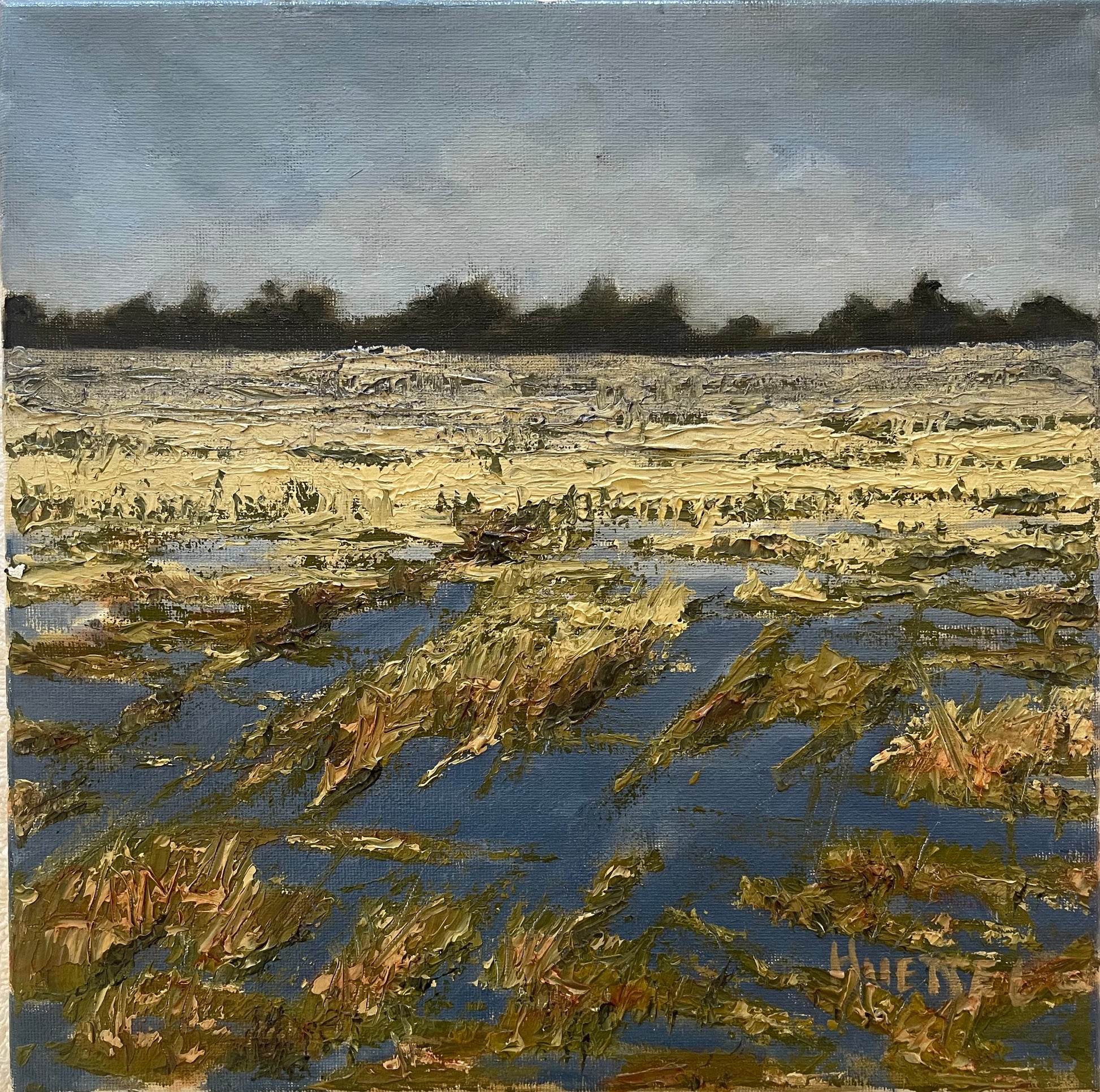 Golden Toned Rug - Handmade Natural Rug