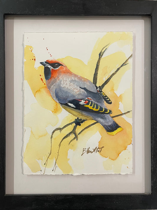 Cedar Waxwing - Clements Fine Rugs 