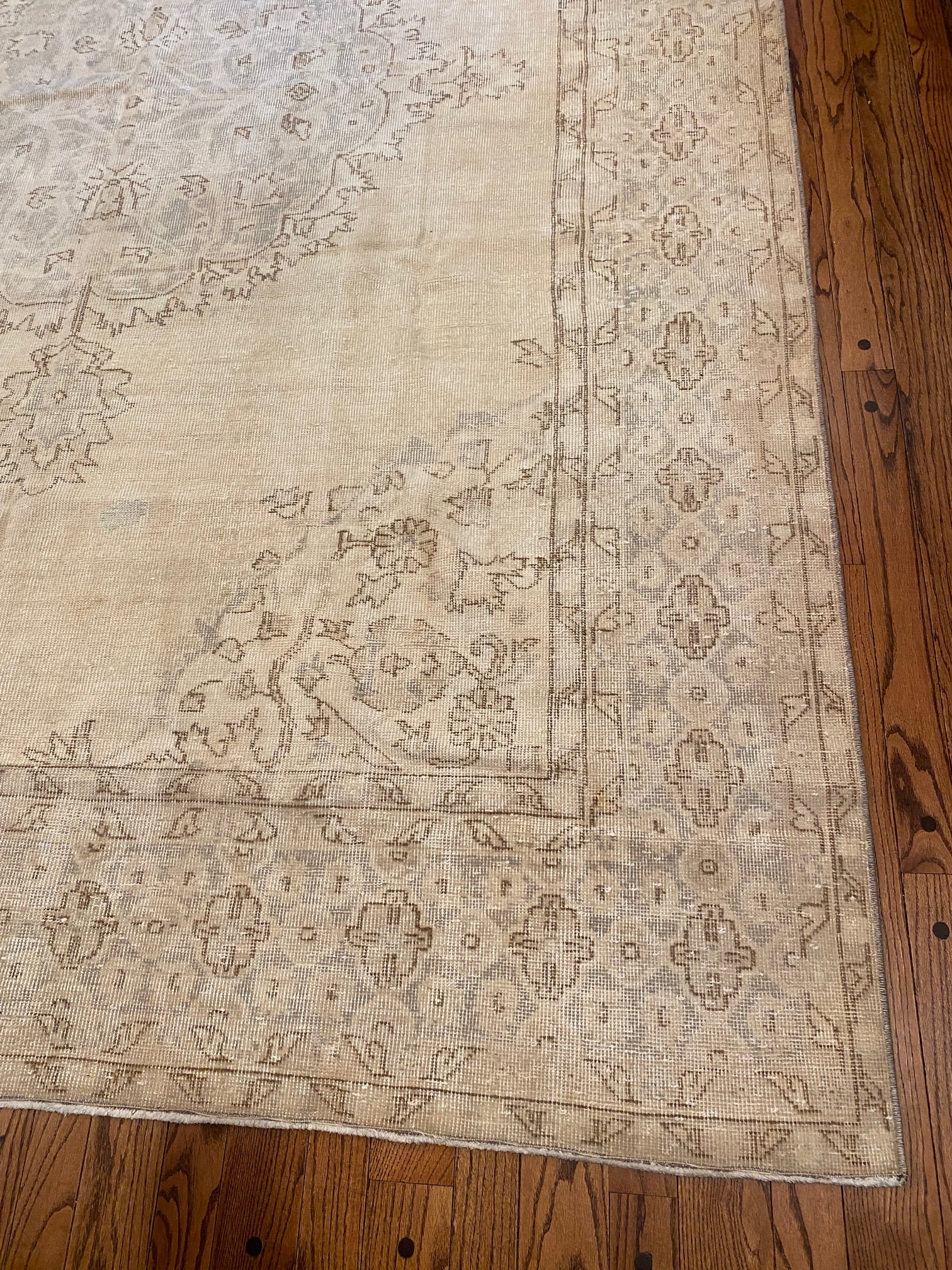 Cozy Living Room Rug