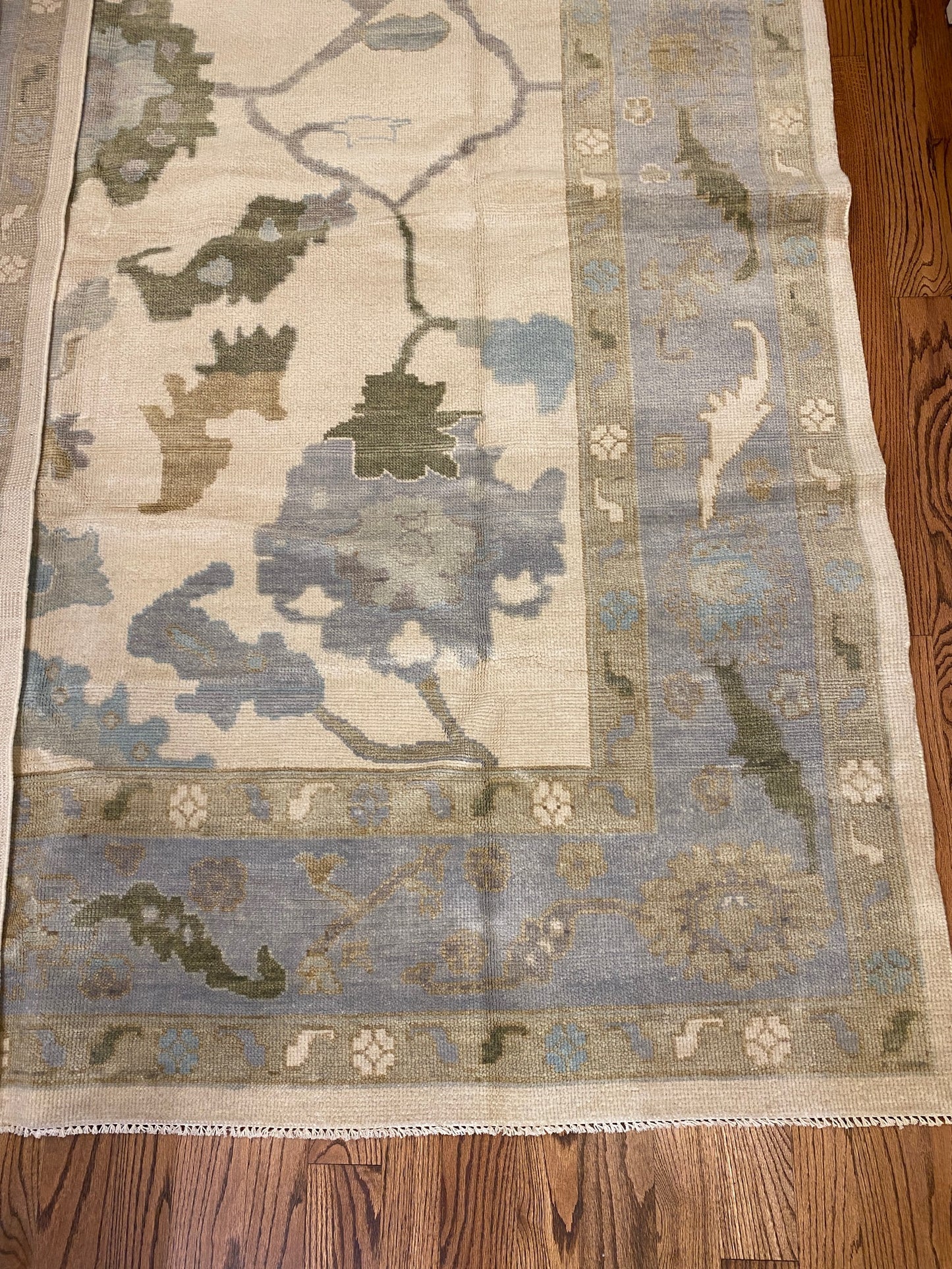 Molly - Clements Fine Rugs 