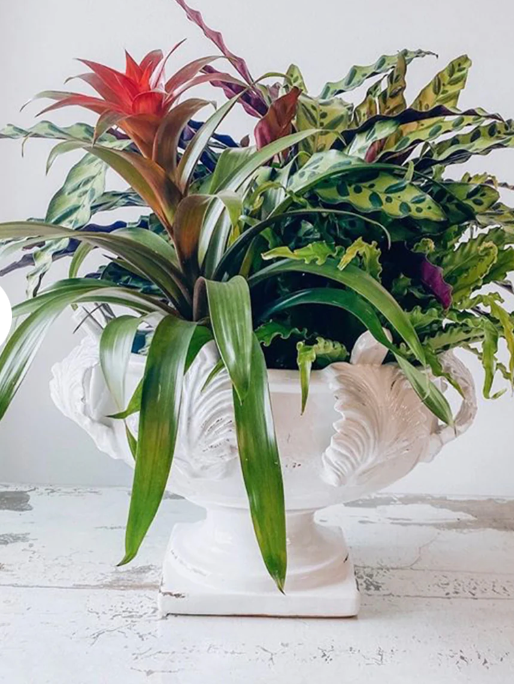 Vinci Centerpiece, Acanthus Leaf Decor, Medium - Clements Fine Rugs 