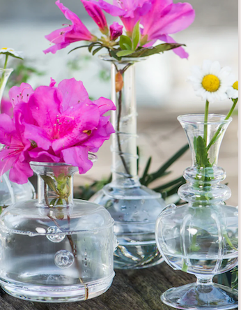 Miss Daisy, Set of 4 - Clements Fine Rugs 