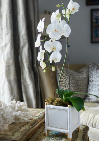 Bamboo Cachepot, White/Gold, Small - Clements Fine Rugs 