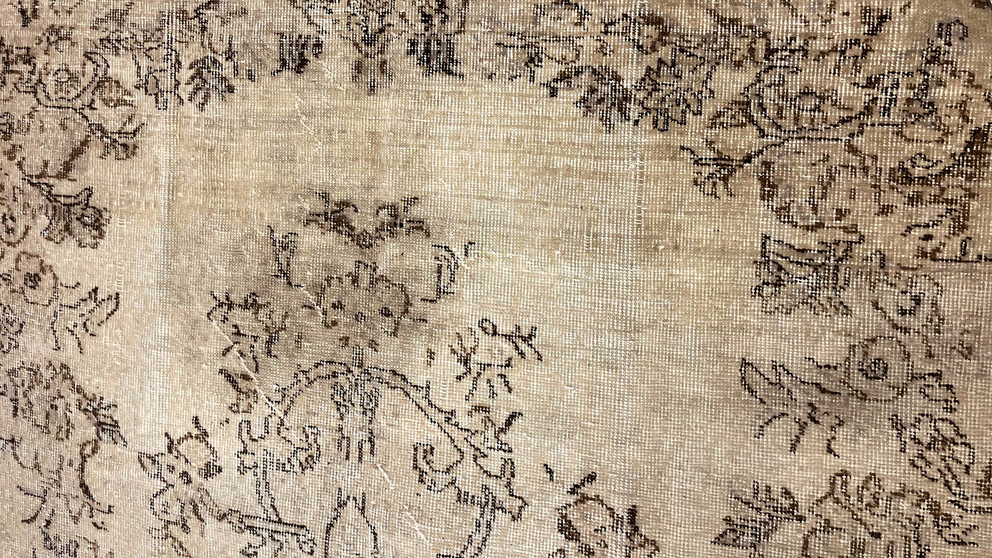 Elsie - Clements Fine Rugs 