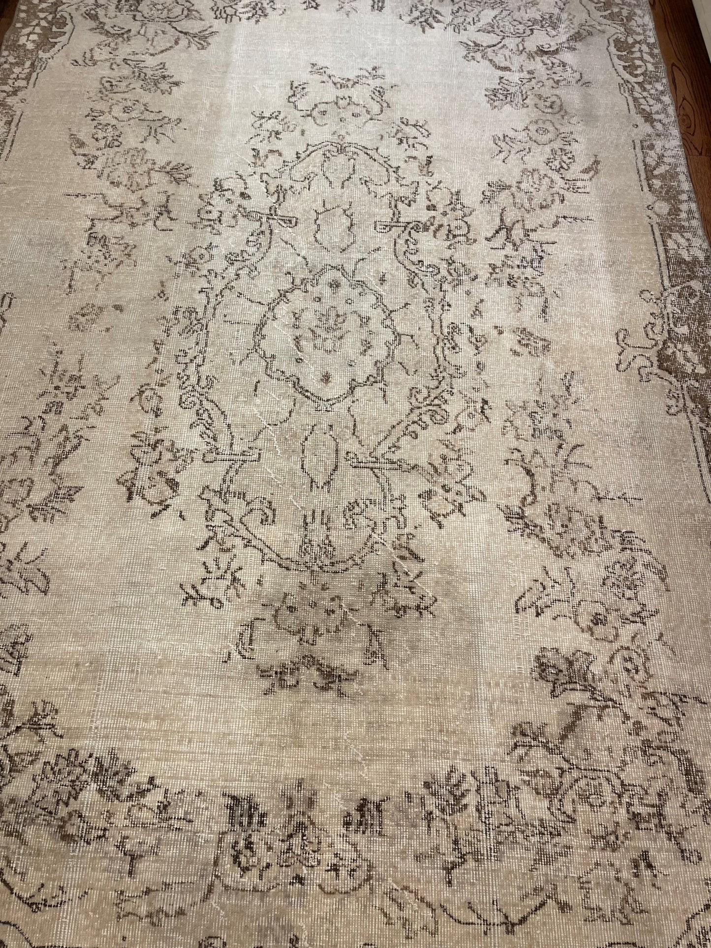 Elsie - Clements Fine Rugs 